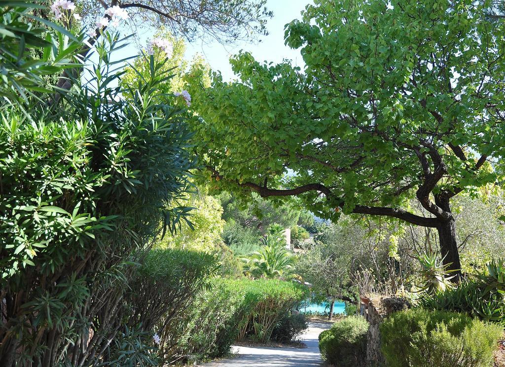 Residence Fior Di Rena Saint-Florent  Bagian luar foto