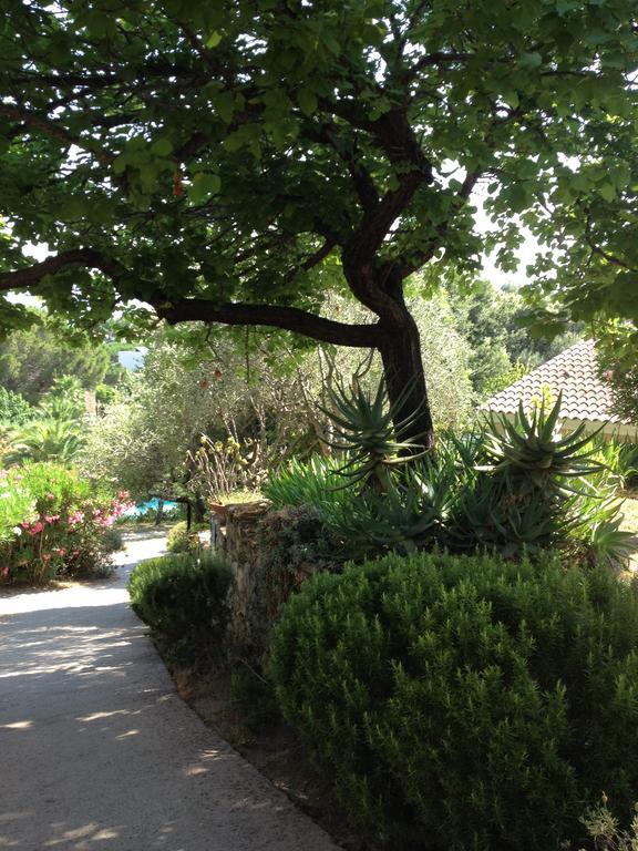 Residence Fior Di Rena Saint-Florent  Bagian luar foto