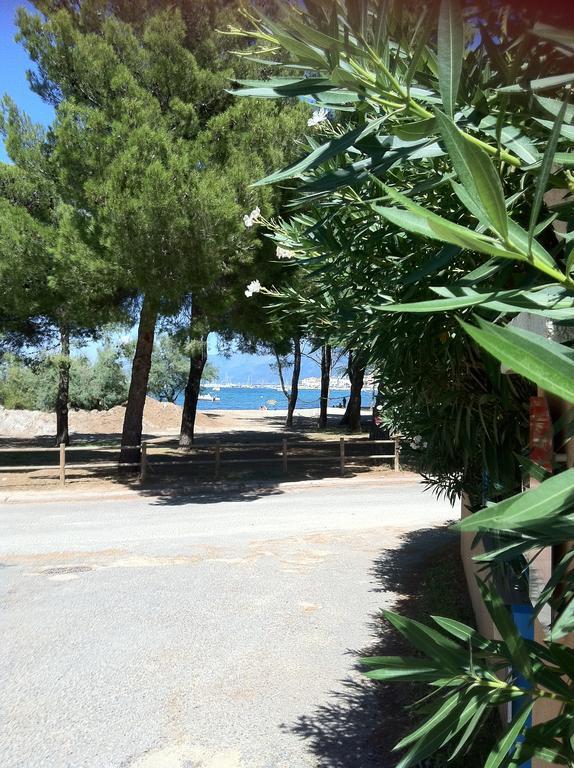 Residence Fior Di Rena Saint-Florent  Bagian luar foto